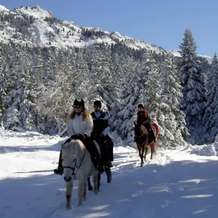 Dom wakacyjny παραδοσιακή πέτρινη στην ελάτης