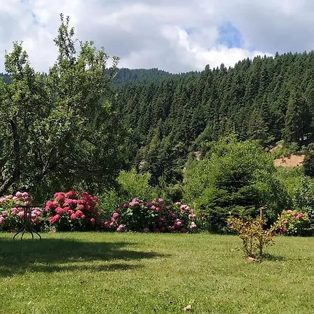 παραδοσιακή πέτρινη στην ελάτης Dom wakacyjny Vlacha