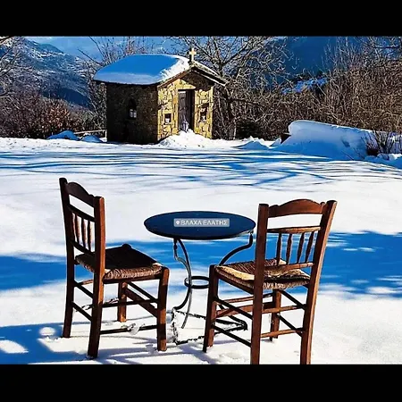 Dom wakacyjny παραδοσιακή πέτρινη στην ελάτης Vlacha