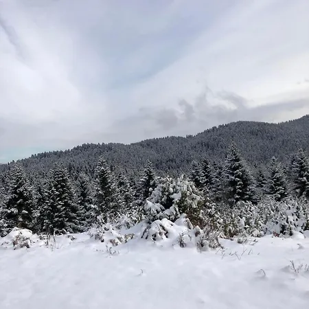 παραδοσιακή πέτρινη στην ελάτης Dom wakacyjny *
