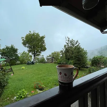 Dom wakacyjny παραδοσιακή πέτρινη στην ελάτης