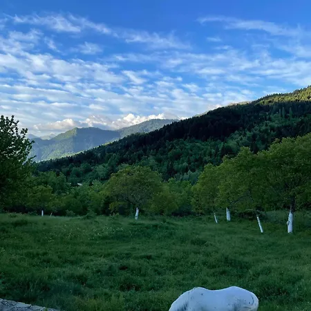 Dom wakacyjny παραδοσιακή πέτρινη στην ελάτης *