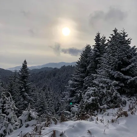 παραδοσιακή πέτρινη στην ελάτης Dom wakacyjny Vlacha