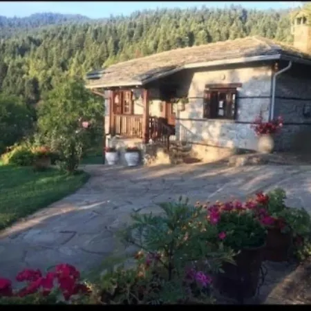 παραδοσιακή πέτρινη στην ελάτης Holiday home Vlacha