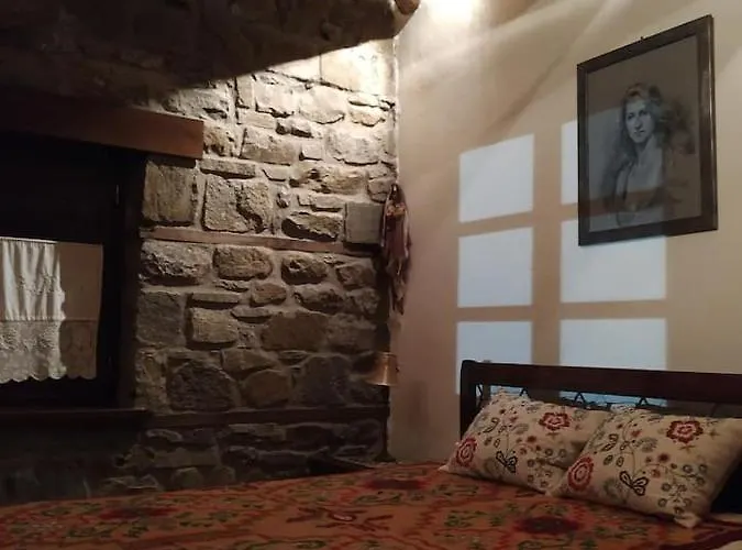 Case de vacanță παραδοσιακή πέτρινη στην ελάτης *