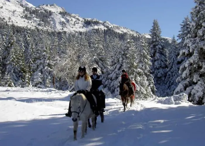 Case de vacanță παραδοσιακή πέτρινη στην ελάτης