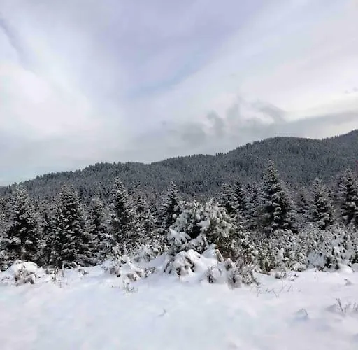 Case de vacanță παραδοσιακή πέτρινη στην ελάτης