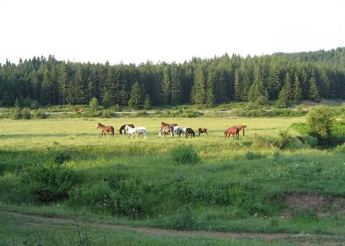παραδοσιακή πέτρινη στην ελάτης Case de vacanță *
