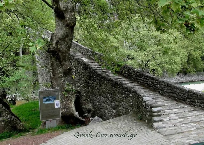 παραδοσιακή πέτρινη στην ελάτης Case de vacanță Vlacha