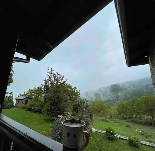 παραδοσιακή πέτρινη στην ελάτης Case de vacanță