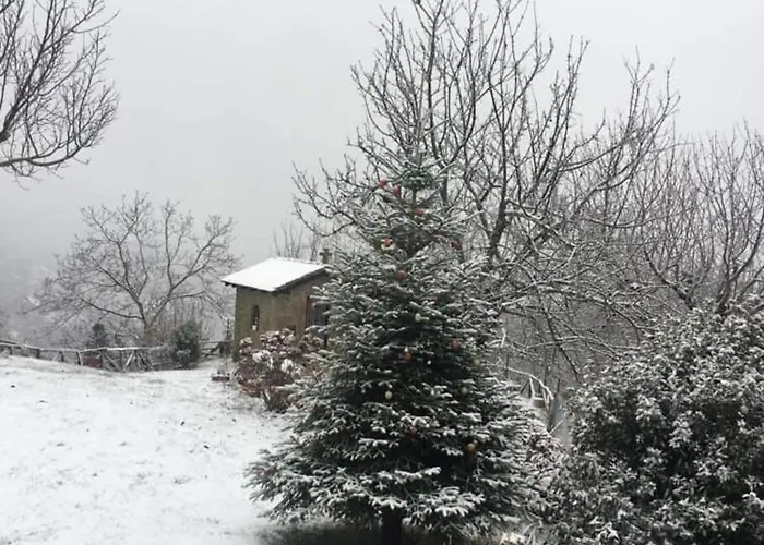 παραδοσιακή πέτρινη στην ελάτης * Vlacha