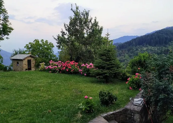 παραδοσιακή πέτρινη στην ελάτης Case de vacanță *