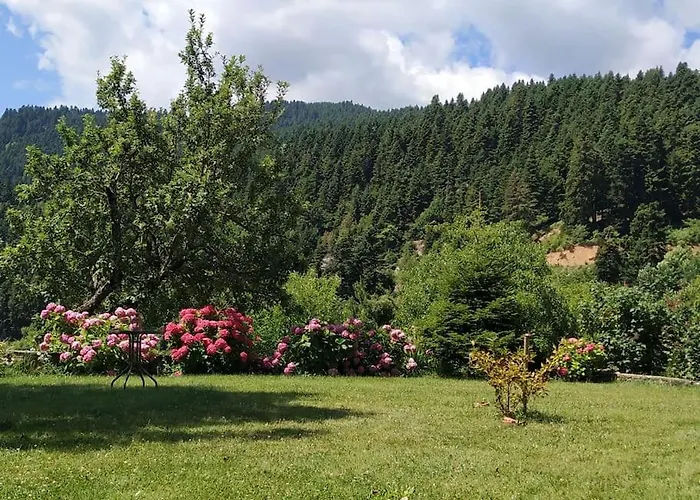 παραδοσιακή πέτρινη στην ελάτης Case de vacanță Vlacha