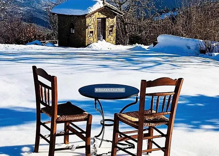 Case de vacanță παραδοσιακή πέτρινη στην ελάτης Vlacha