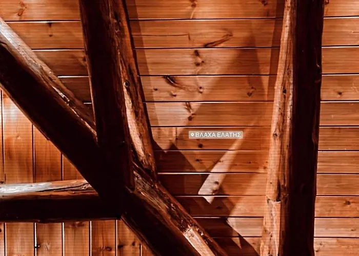 Case de vacanță παραδοσιακή πέτρινη στην ελάτης