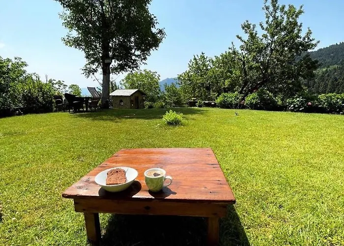 παραδοσιακή πέτρινη στην ελάτης * Vlacha