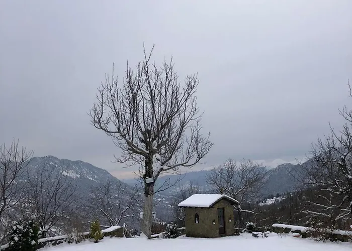 παραδοσιακή πέτρινη στην ελάτης