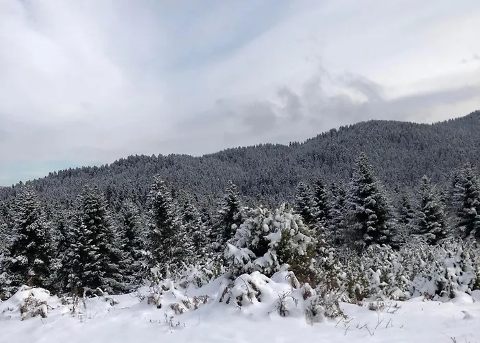 παραδοσιακή πέτρινη στην ελάτης Case de vacanță *