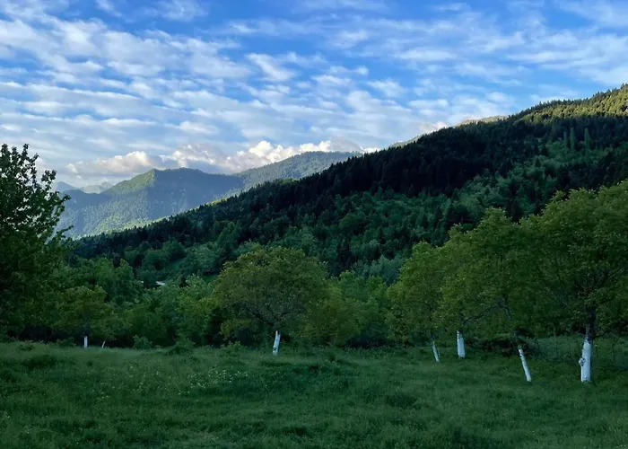 Case de vacanță παραδοσιακή πέτρινη στην ελάτης *