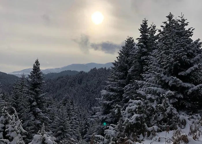 παραδοσιακή πέτρινη στην ελάτης Case de vacanță Vlacha