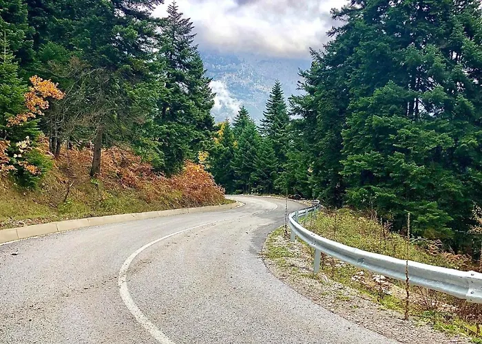 παραδοσιακή πέτρινη στην ελάτης Case de vacanță Vlacha